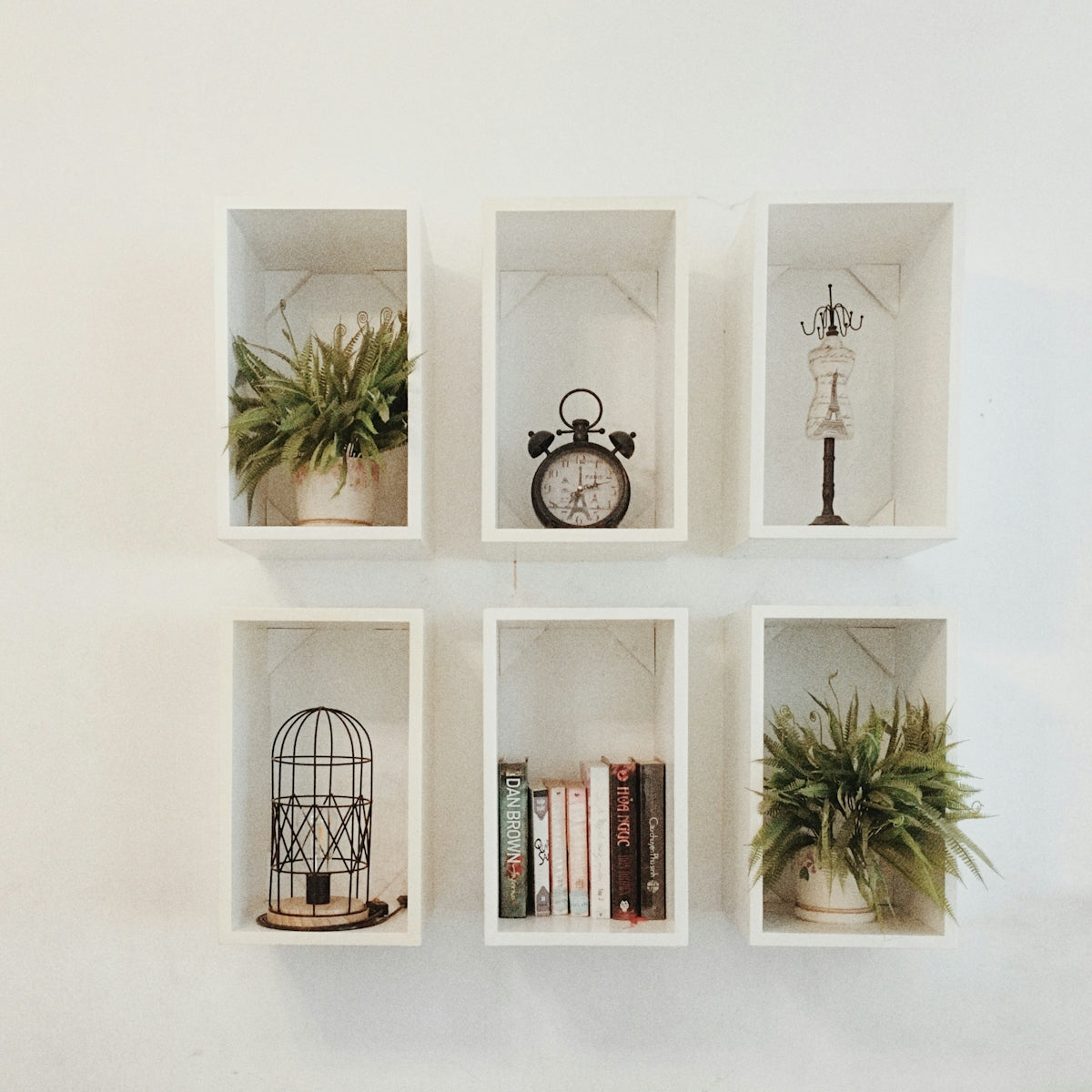 green palm tree on white wooden wall shelf