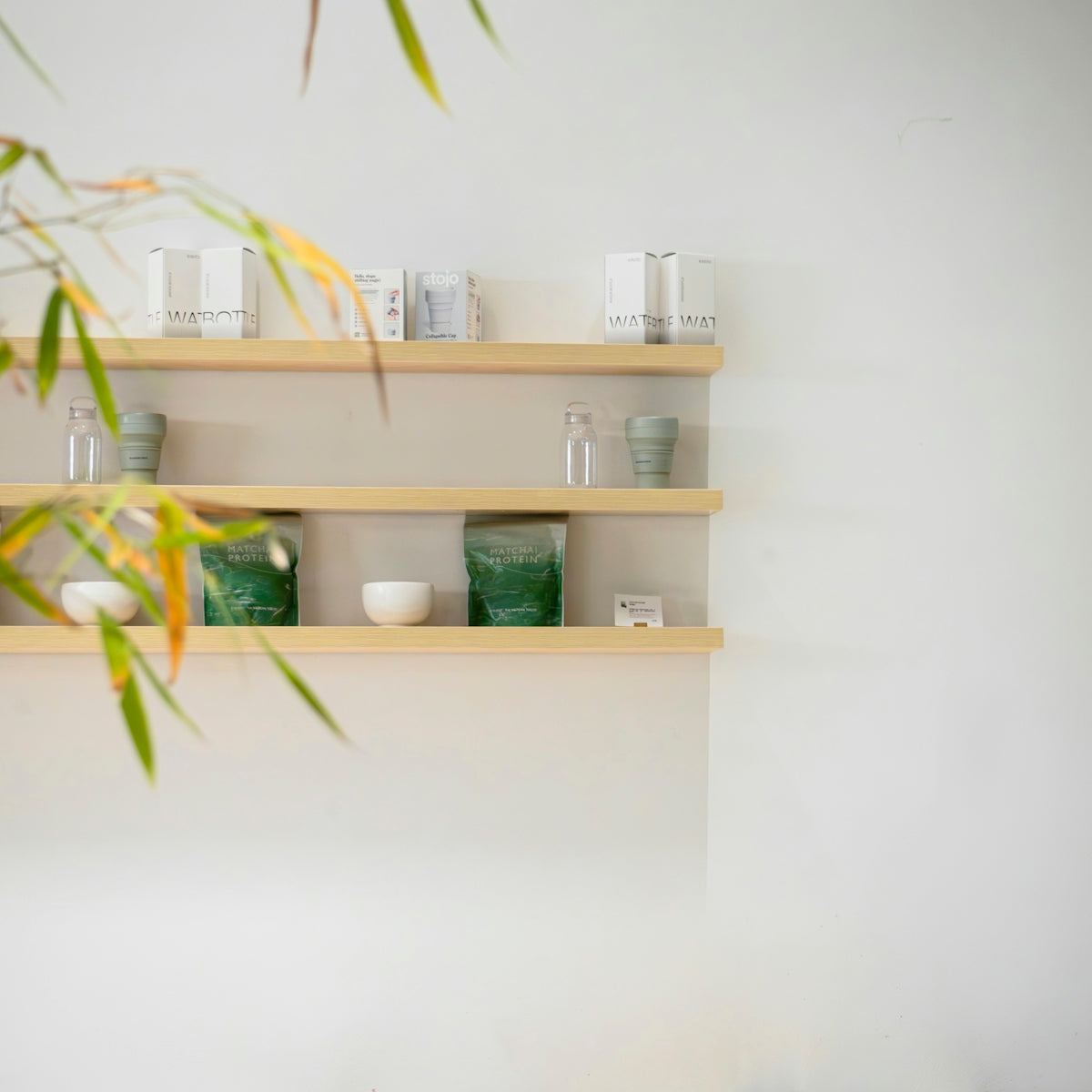 Shelves with decorative items and plants on wall.