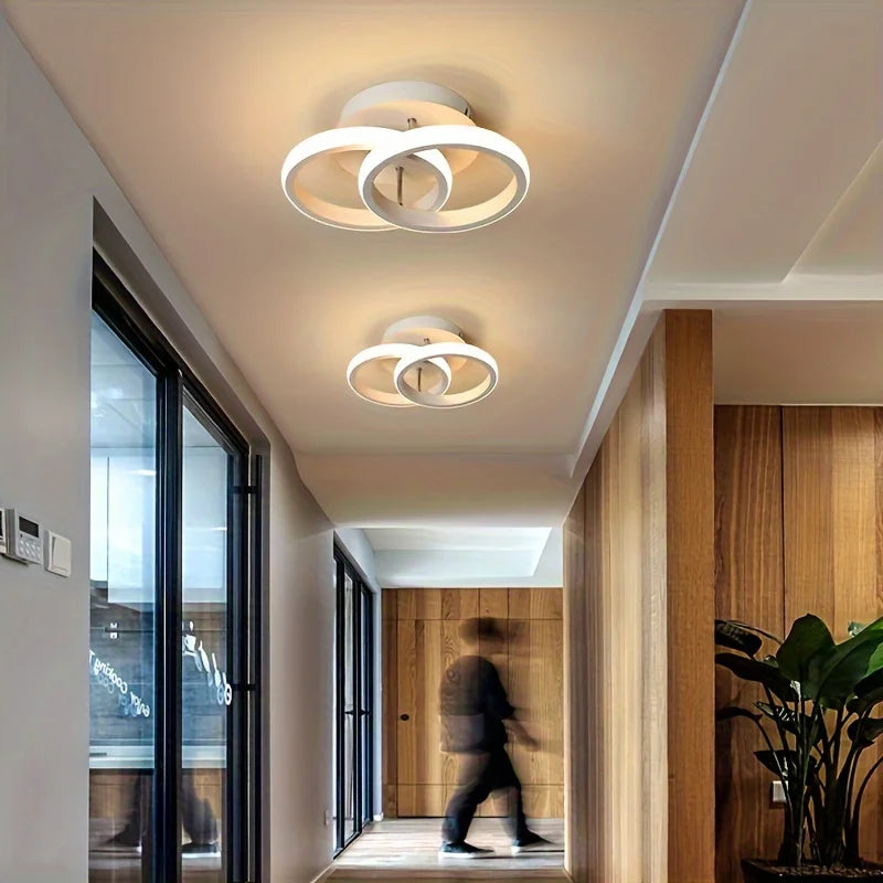 Modern Minimalist Ceiling Lamps