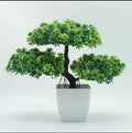 Aroosa Mini Bonsai Tree Planter
