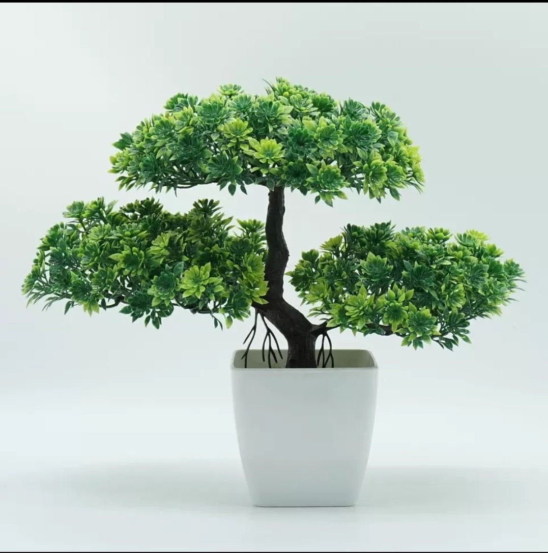Aroosa Mini Bonsai Tree Planter