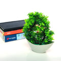 Arvello Mini Bonsai Tree Planter