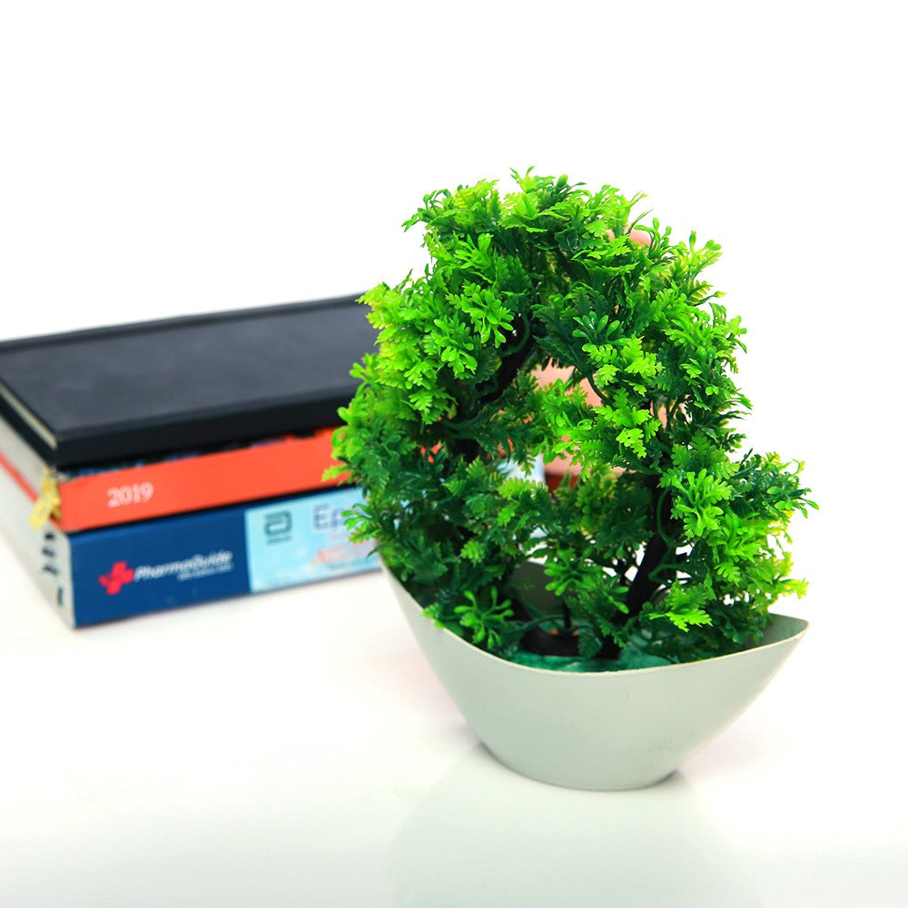 Arvello Mini Bonsai Tree Planter