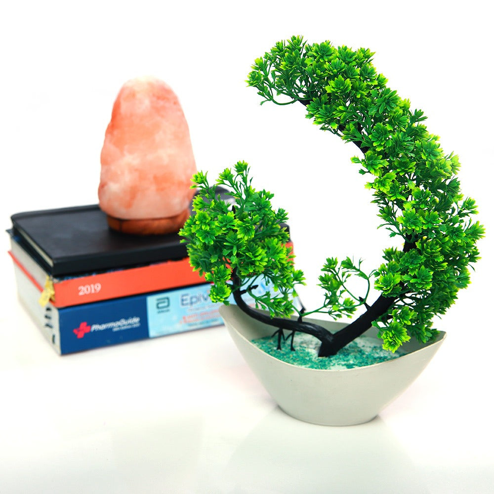 Crestello Mini Bonsai Tree Planter