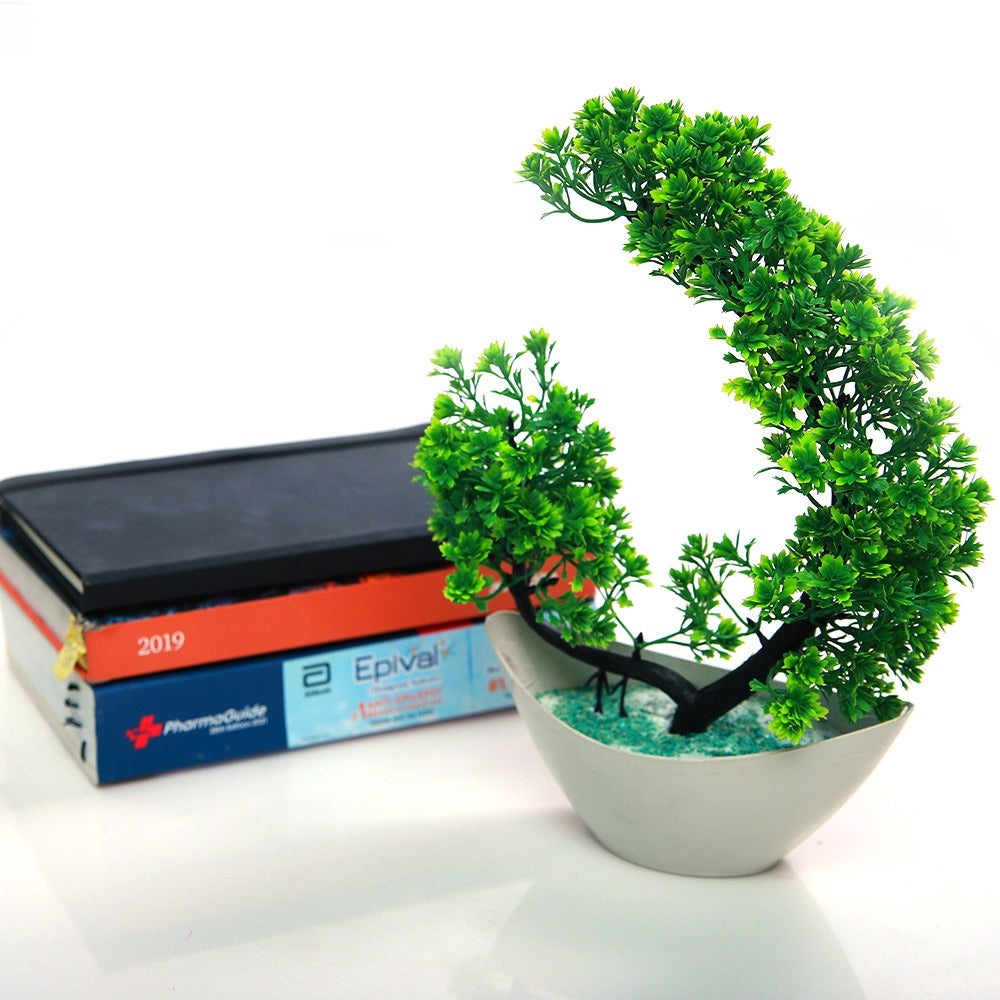 Crestello Mini Bonsai Tree Planter