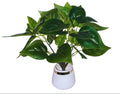 Mishi Planter