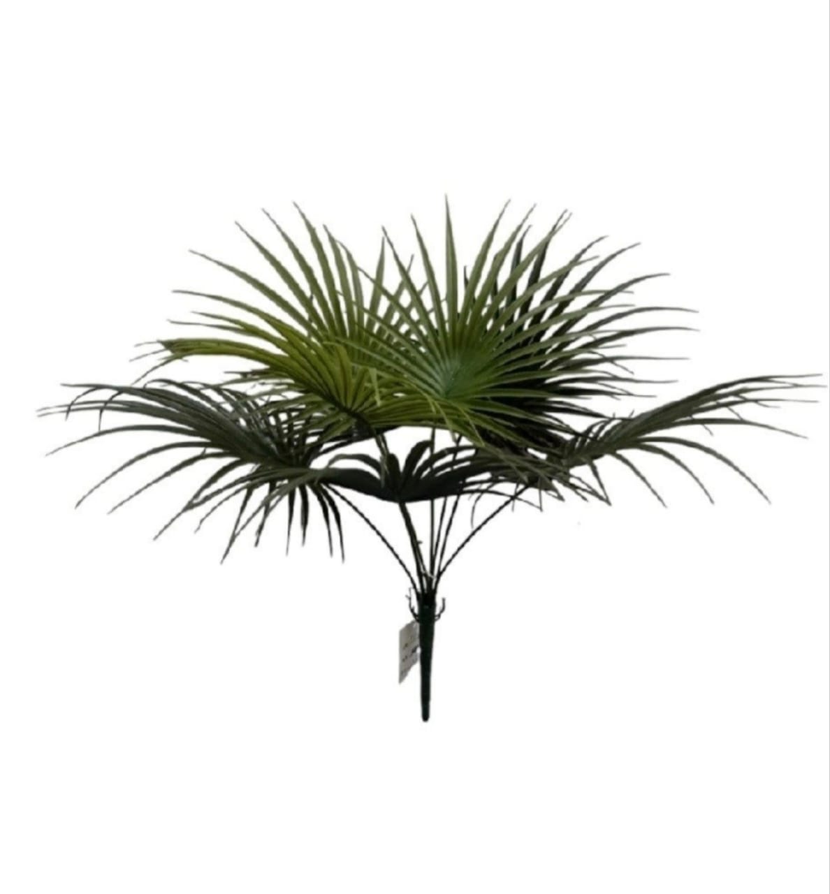 ULTRA REALISTIC Fan Palm Plant Leaf Stems
