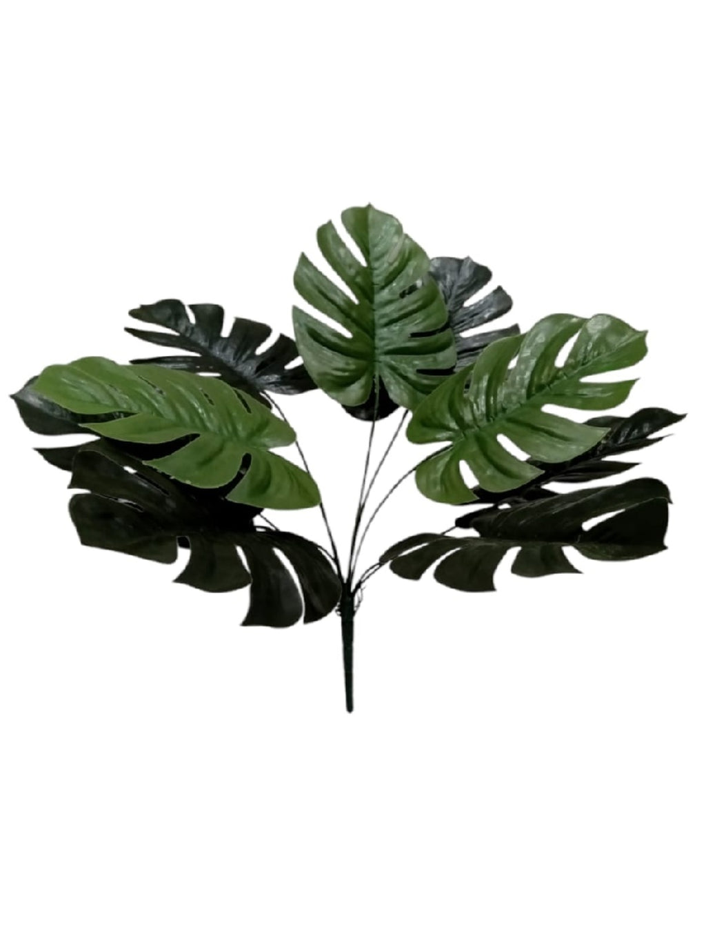 ULTRA REALISTIC Monstera Plant Leaf Stems