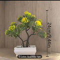 Verdeon Mini Bonsai Tree Planter