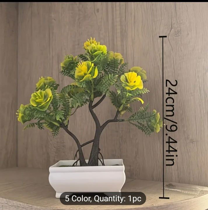 Verdeon Mini Bonsai Tree Planter